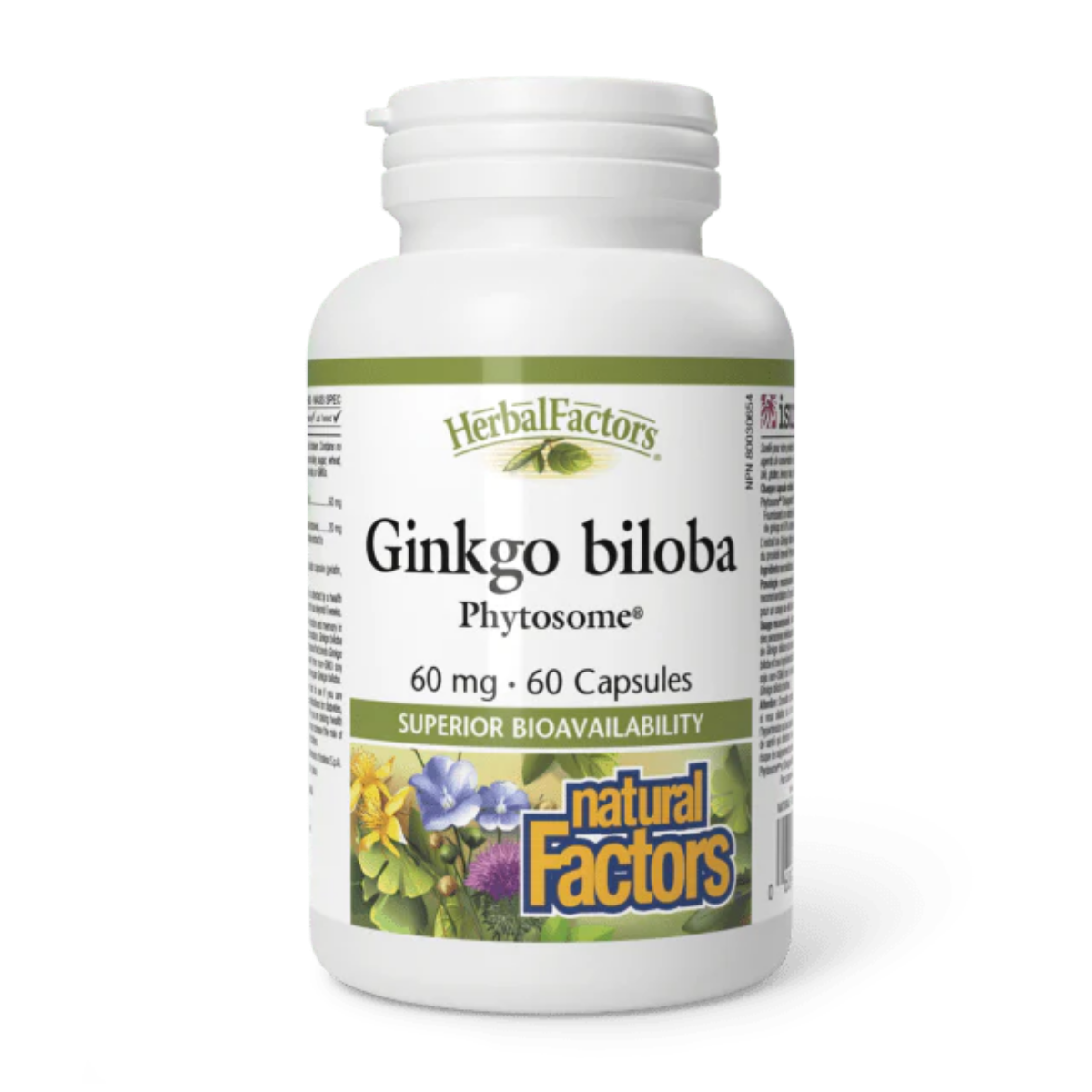 ginkgo biloba
