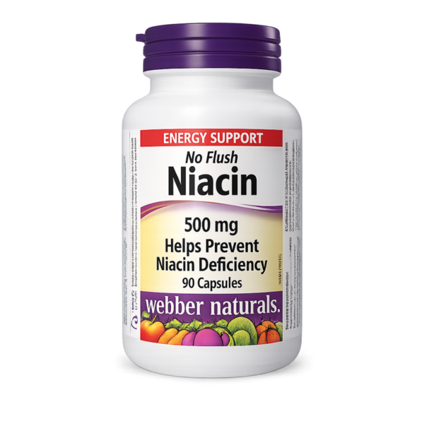 Niacin 500 mg NoFlush (90 kapsula)