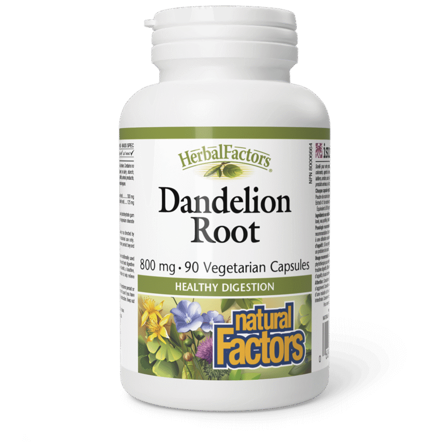 -6_Dandelion Root