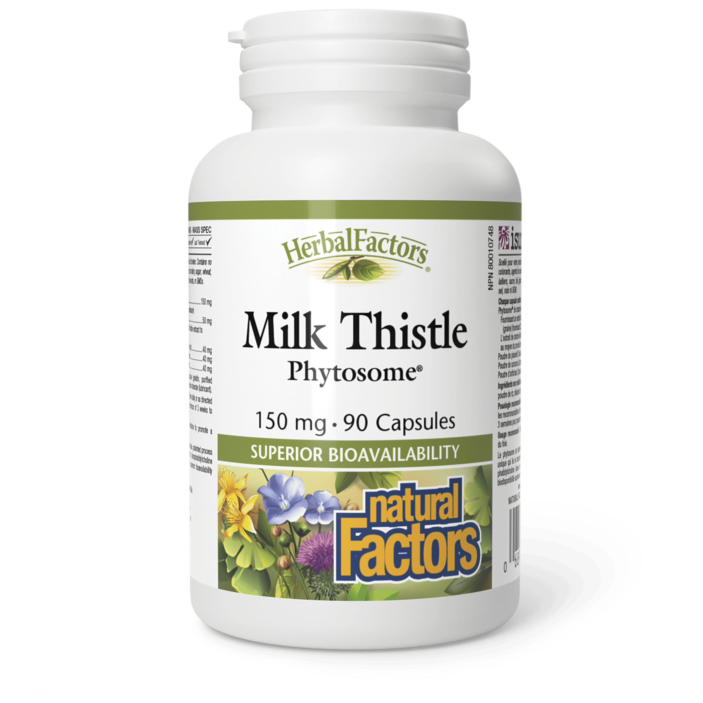 Milk Thistle
