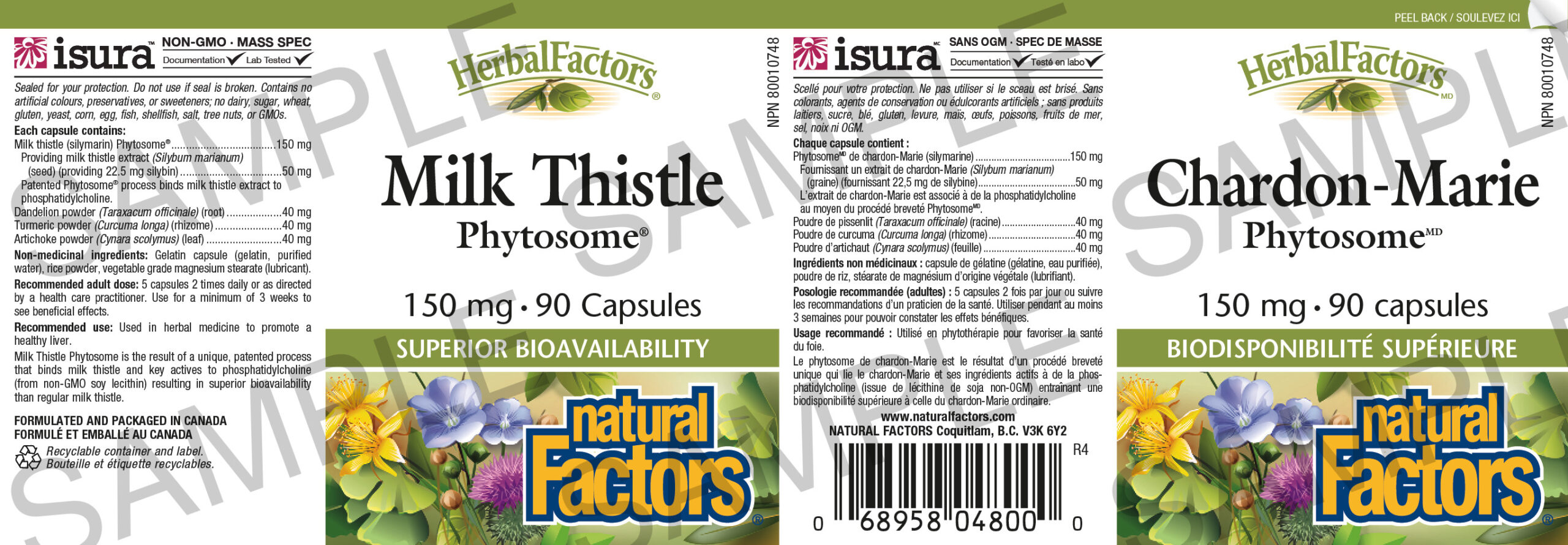 Milk Thistle